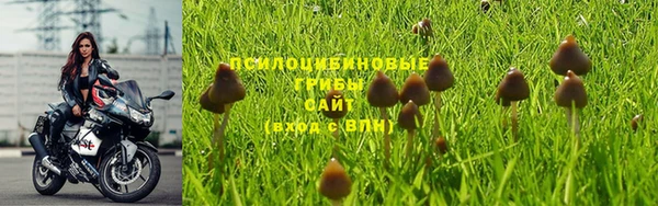 марихуана Абаза